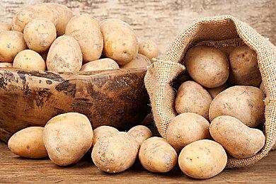 休闲游戏平台Frvr筹集7600万美元 用于提高平台游戏质量